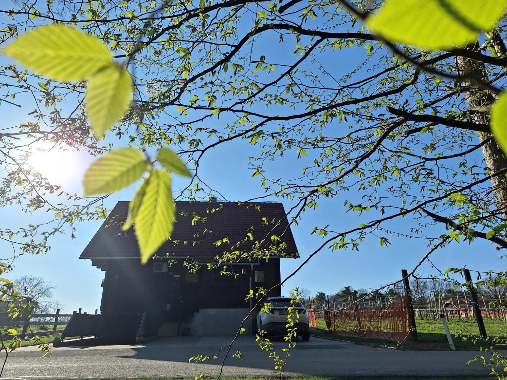Logarska Koca Villa Fokovci Luaran gambar